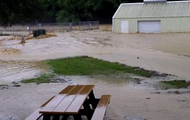 Flood-damaged West Virginia hatchery expects full recovery in 2019 ...