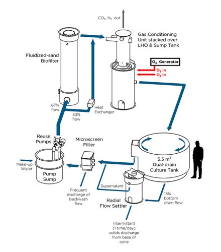 Ozone for freshwater RAS - Hatchery InternationalHatchery International